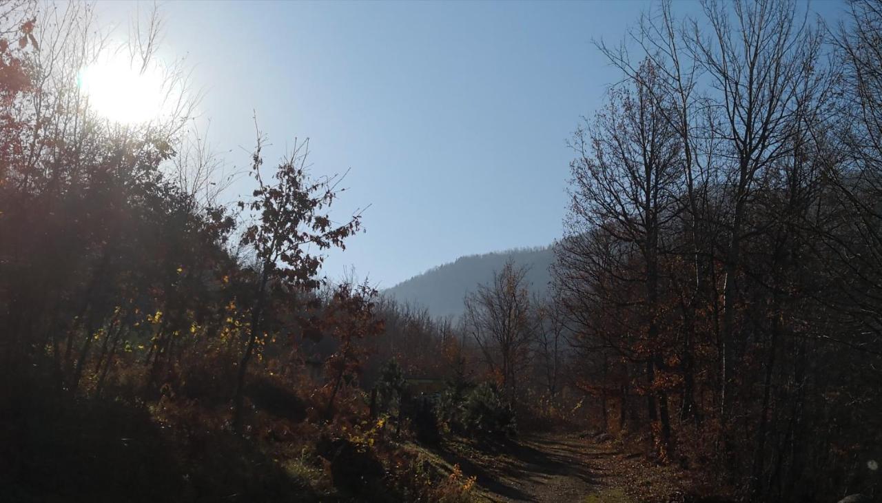 Koliba Pcelica 1-Spa Bijelo Polje Esterno foto